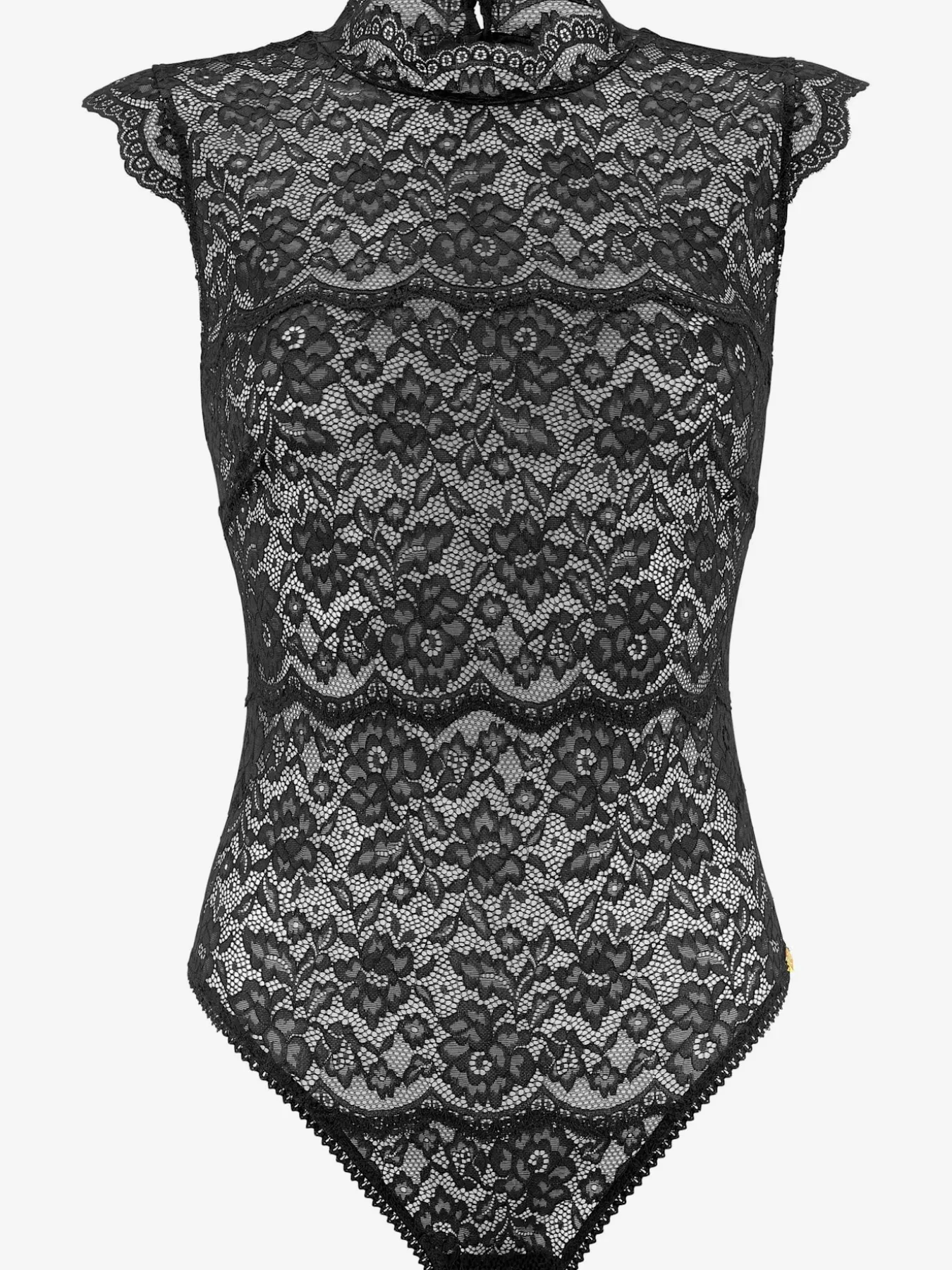 Body corps élégant avant en superbe dentelle, dos en maille transparente